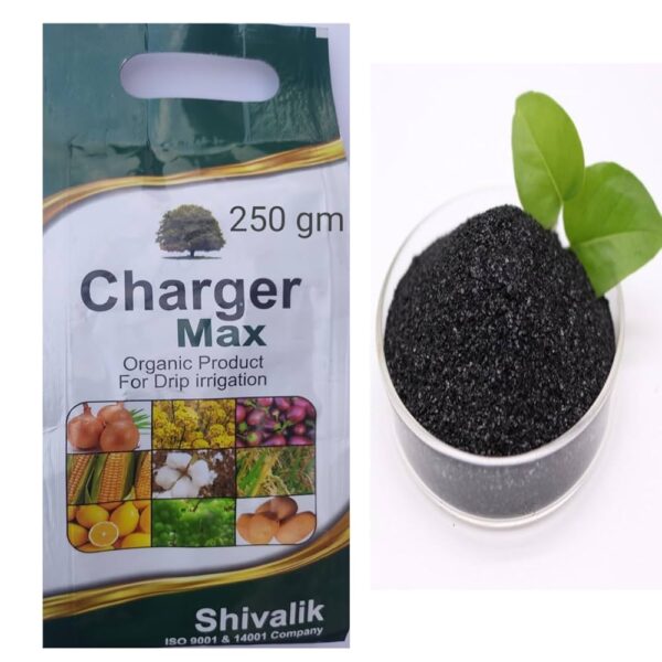 Organic Charger