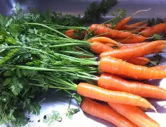 Tasty Carrot
