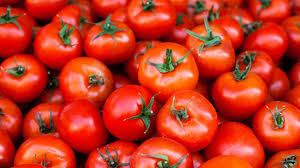 Healthy Tomato