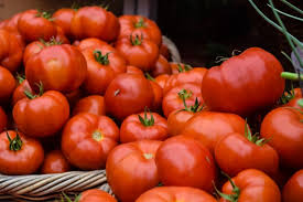 Aromatic Tomato