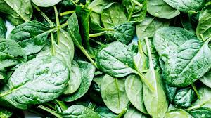 Rich Spinach