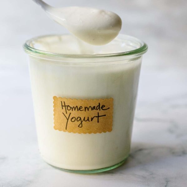 Yogurt