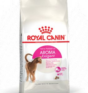 Aromatic Dog Food